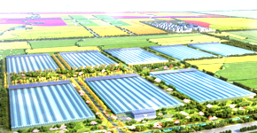 美女啪啪视频APP企業新聞